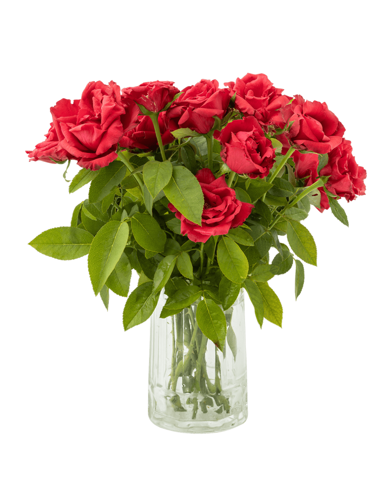 Vase Flowers 01