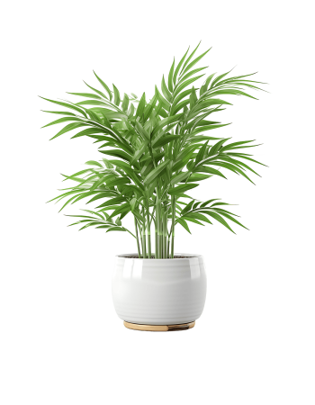 Desk Plant 01