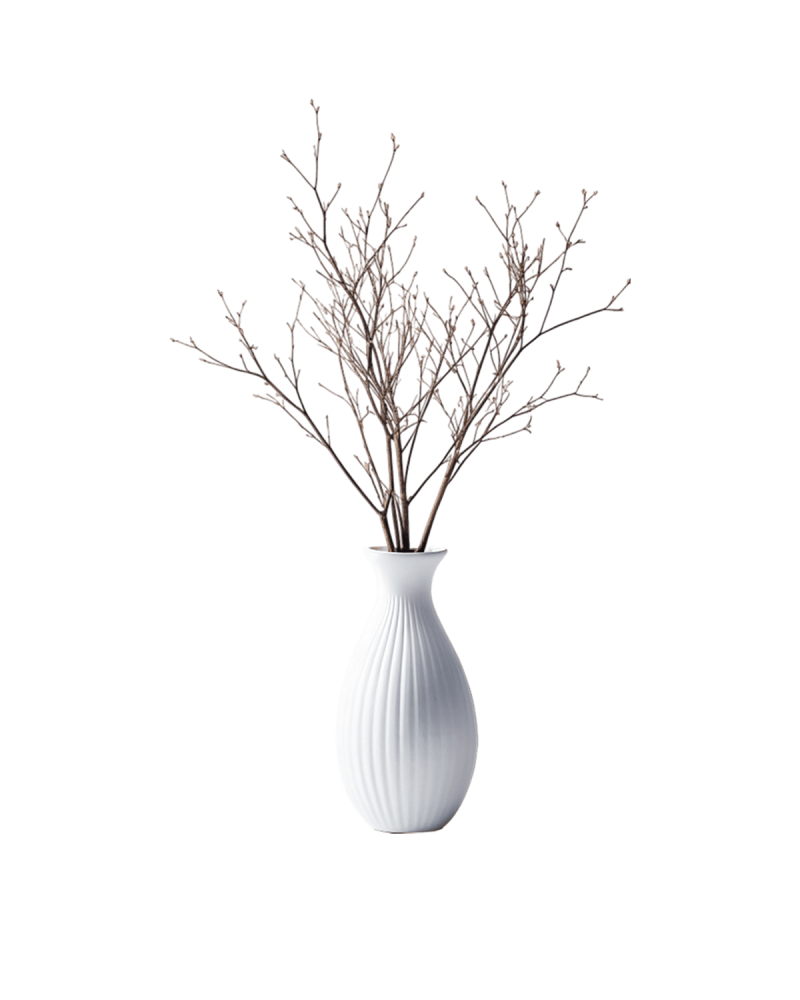 Desk Plant 02