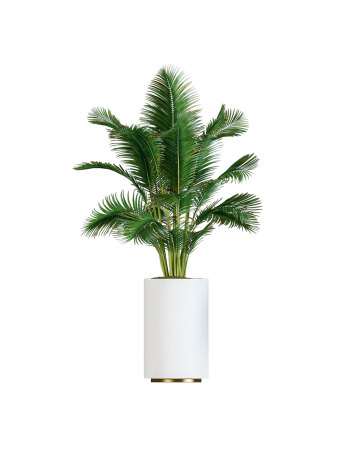 Plant Decor 02