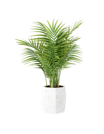 Plant Decor 03