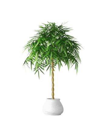 Plant Decor 07