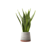 Plant Decor 08