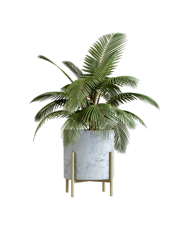Plant Decor 09