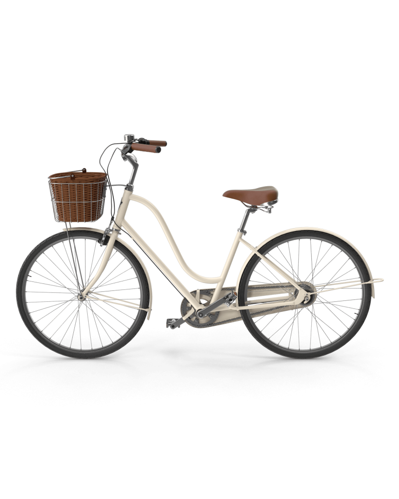 City Bike with Basket