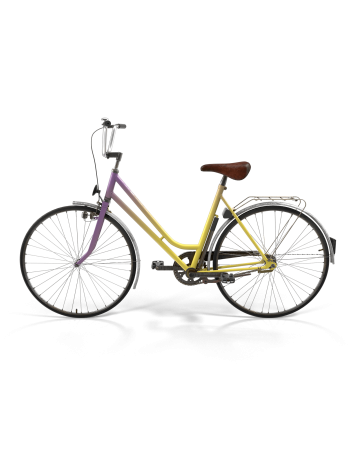 Rainbow Polyvalent Bike