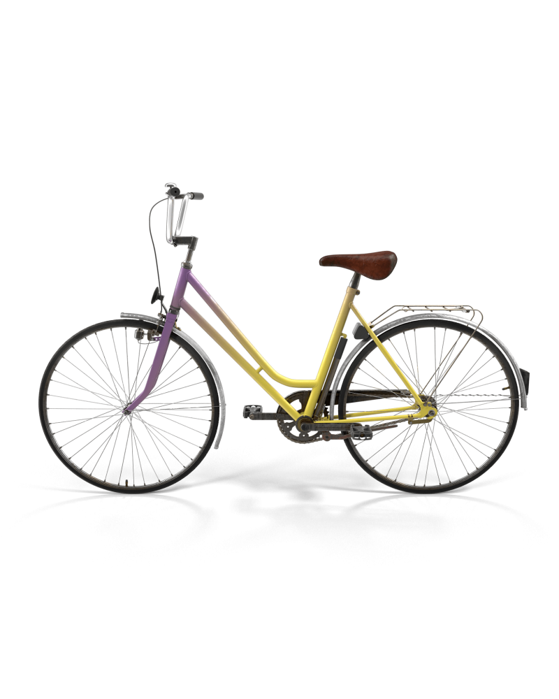 Rainbow Polyvalent Bike