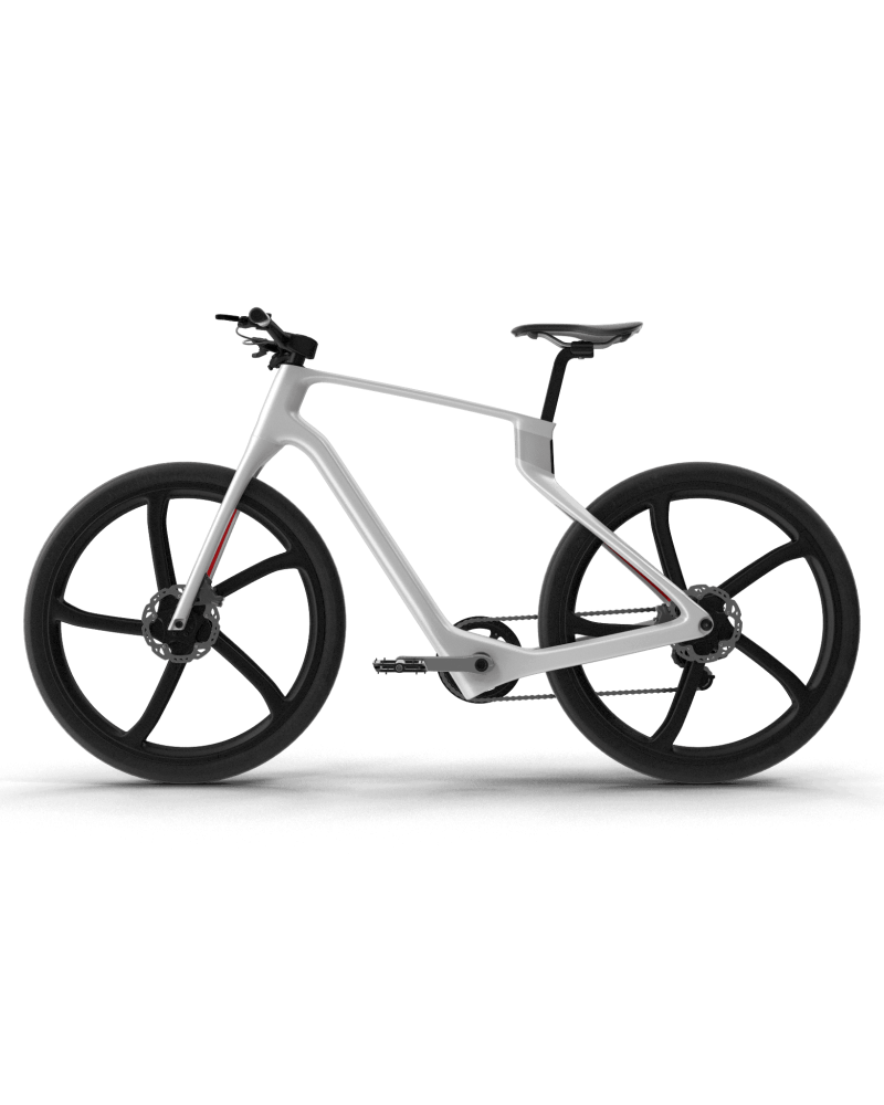 Electric Carbon Bike