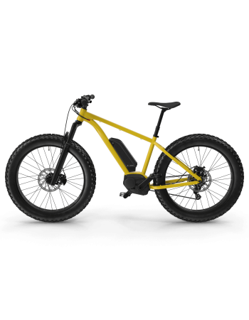 Electric Fat Bike