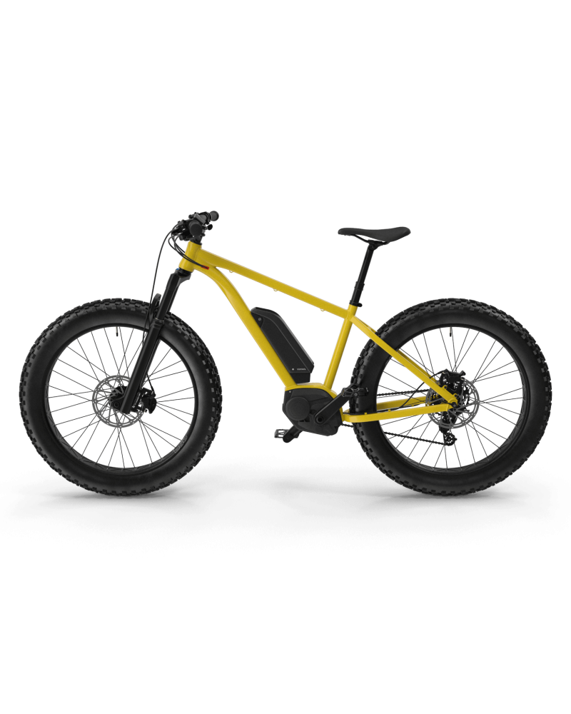 Electric Fat Bike