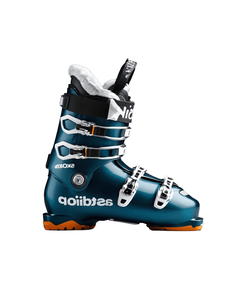 Ski Boots 03