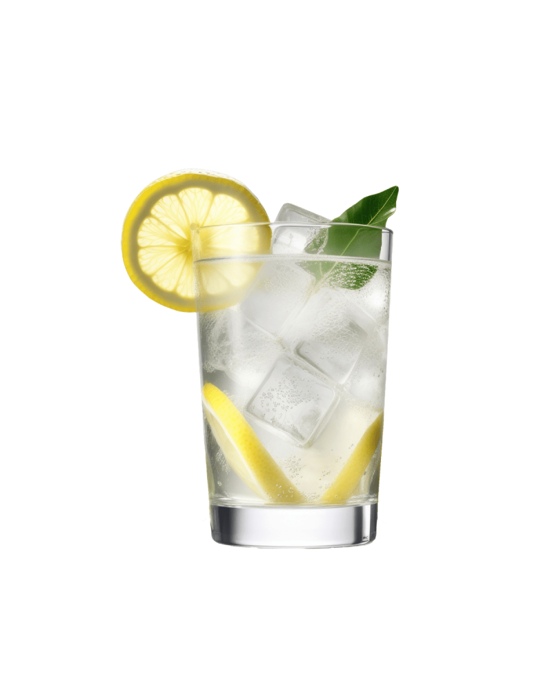 Gin & Tonic
