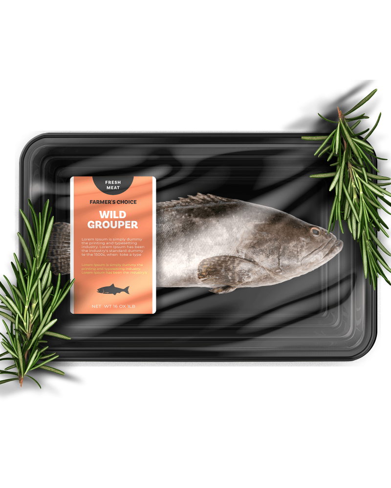 Wild Grouper