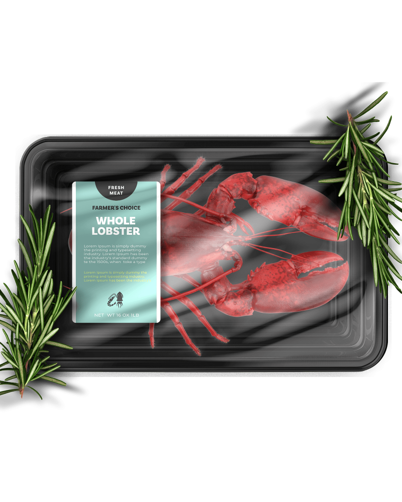 Whole Lobster